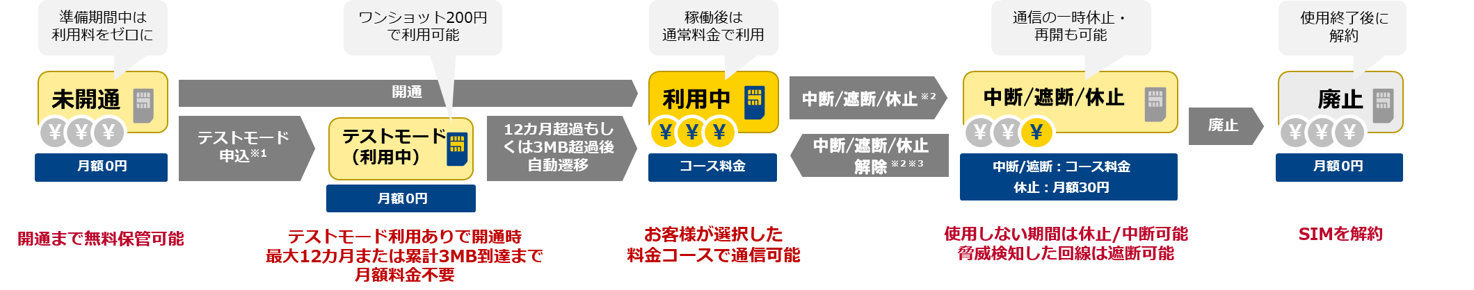 ライフサイクル